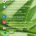 2 - Icerik (1)