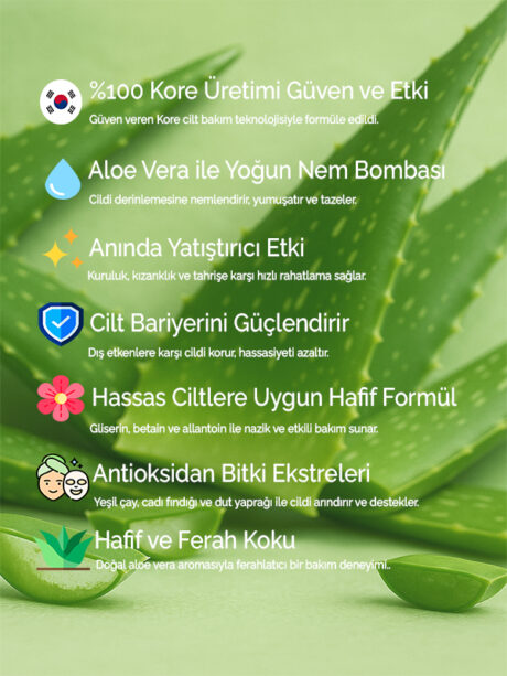 2 - Icerik (1)