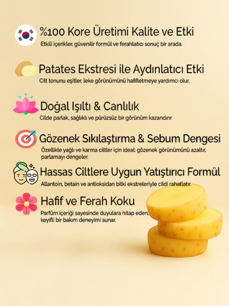 2 - Icerik