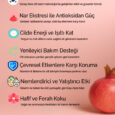 2 - Icerik