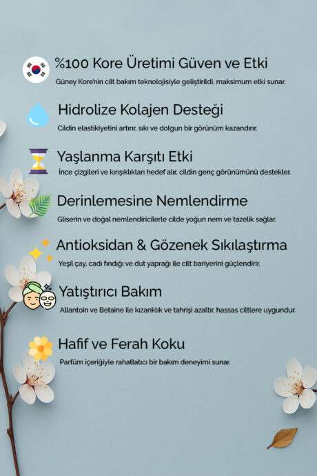 2 - Icerik