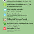 satalikinfo